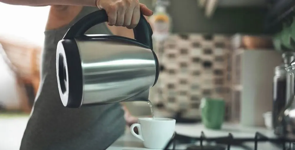 Электрочайник Esperanza Tugela EKK004/EKK104S (Silver/Black)