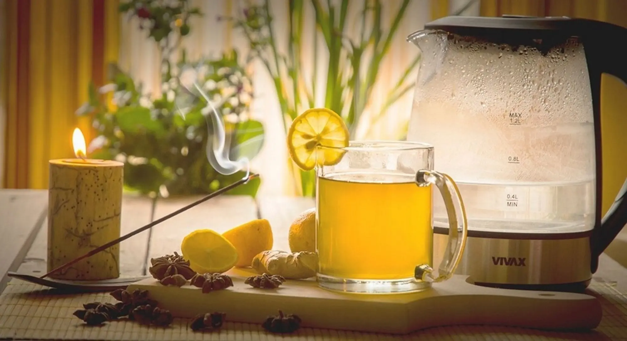 Fierbator electric Vivax WH-120G (Black)