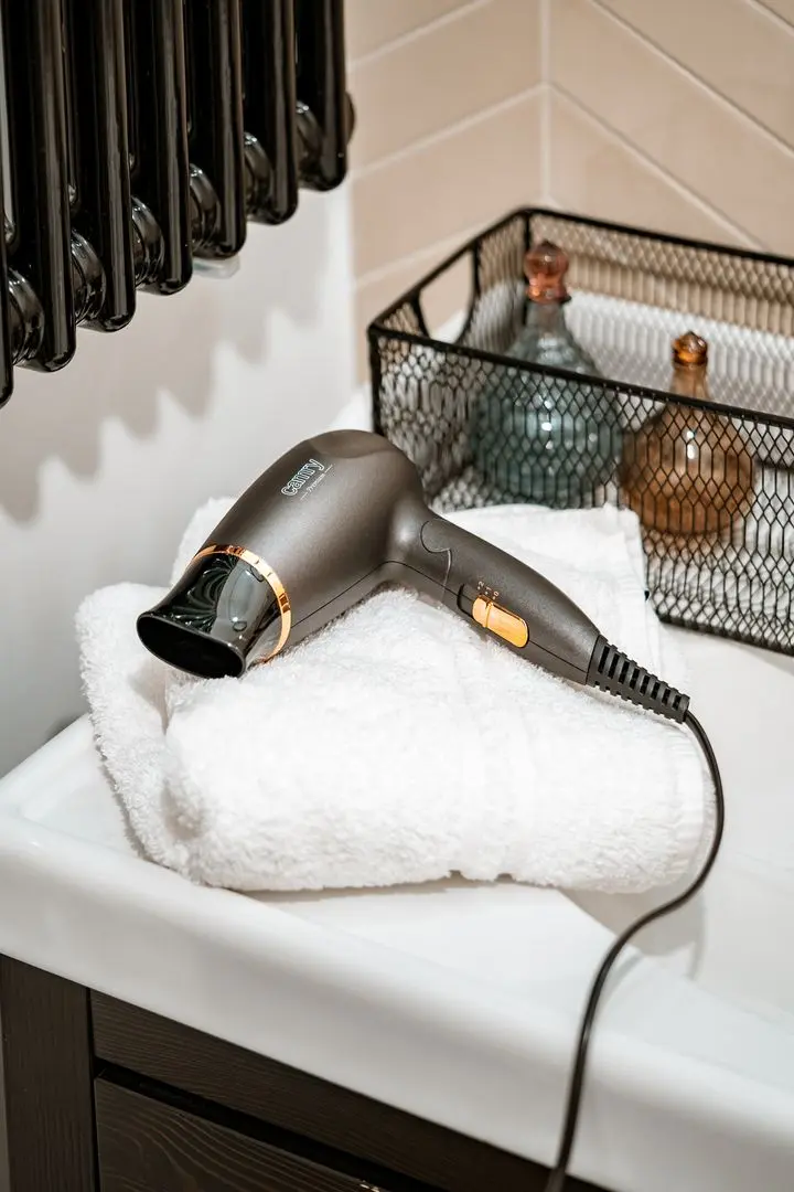 Uscator de par Camry CR 2261 (Metalic Gray/Gold)