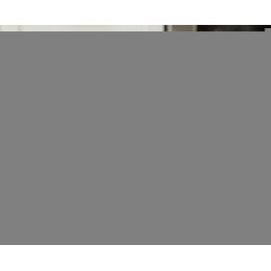 Электрогриль Daewoo SDA DG2000X (Inox) Thumb