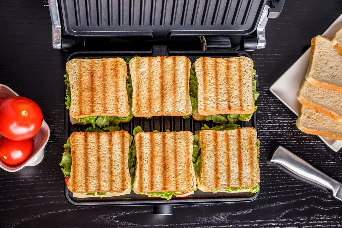 Электрогриль Eldom Svad GK170 (Silver/Black)