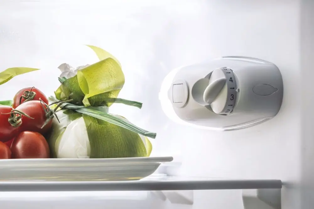 Frigider Candy CCG1L314EW (White)