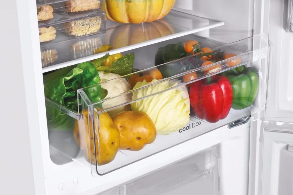 Frigider Candy CCH1T518DW (White)