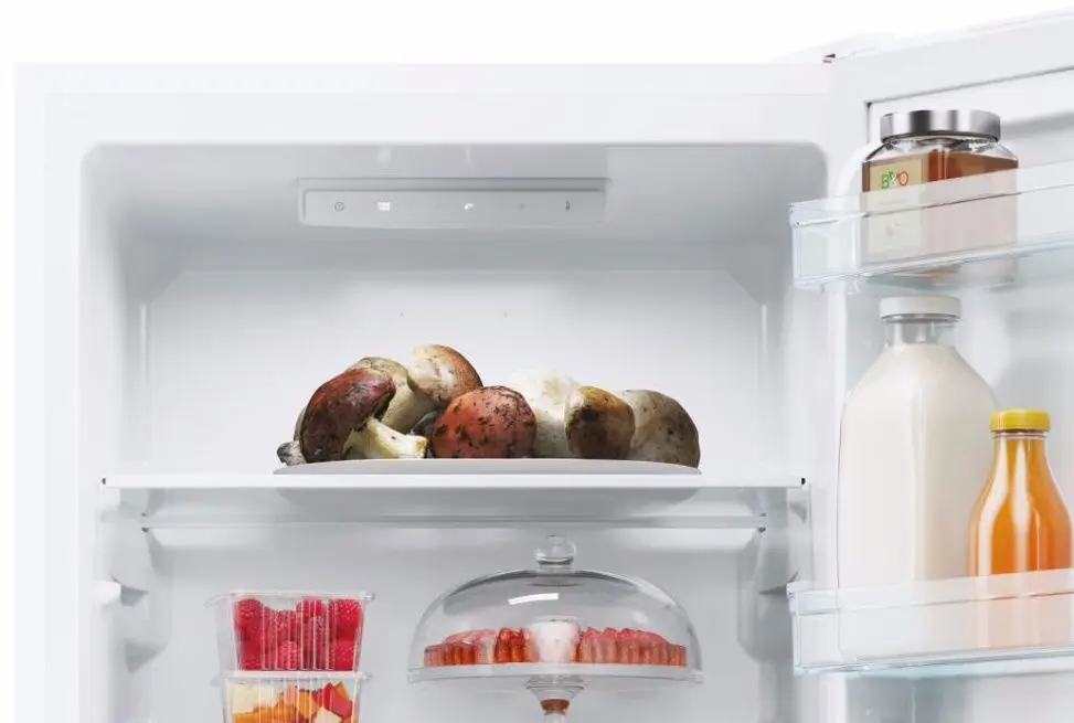 Холодильник Candy CCT3L517EW (White)