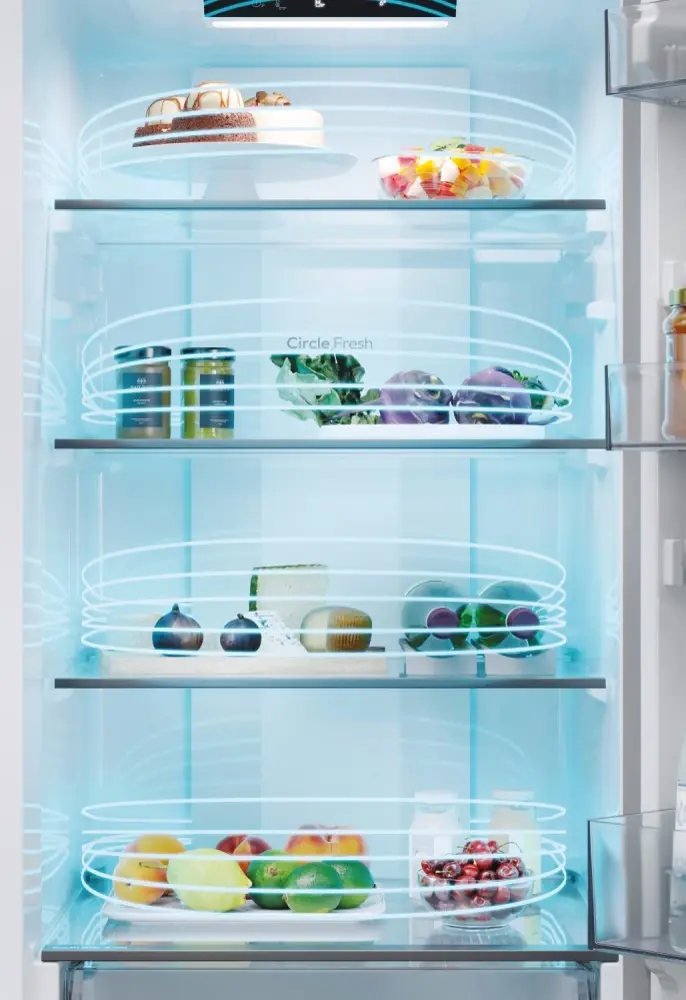Frigider Candy City Fresco 300 CNCQ2T518EB (Black) - 6