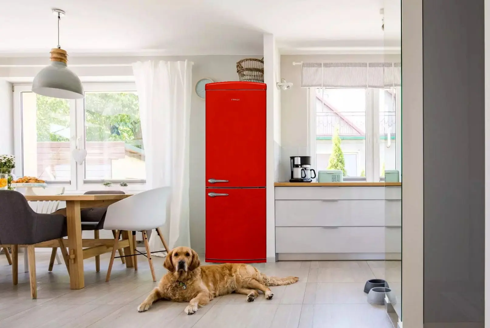 Холодильник Finlux FXCARE 37301 (Red)