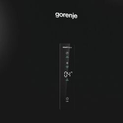 Холодильник Gorenje R619EABK6 (Black) Thumb