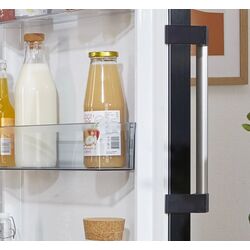 Холодильник Gorenje R619EABK6 (Black) Thumb