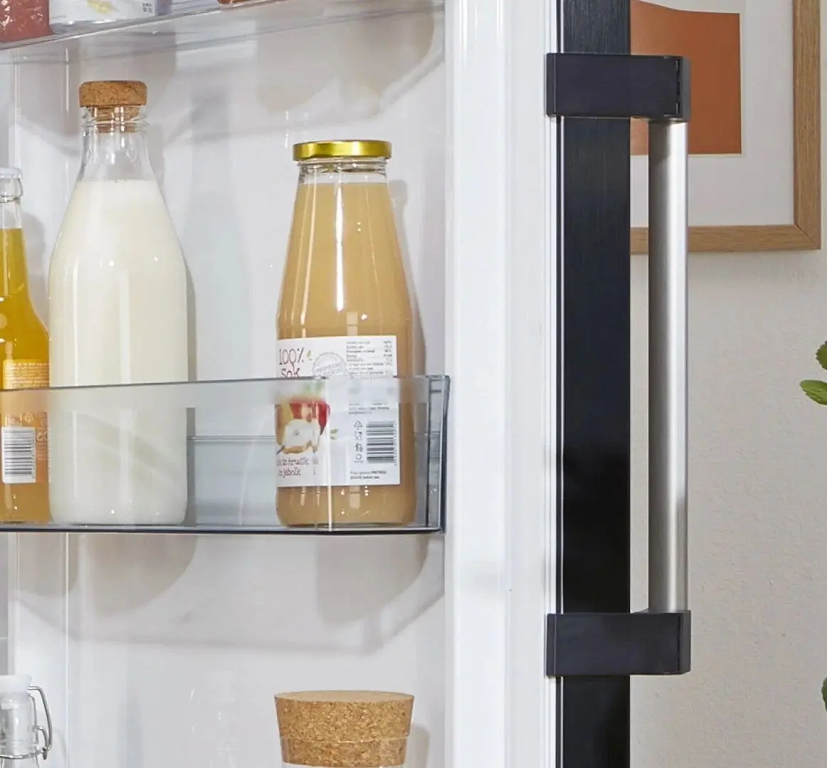 Холодильник Gorenje R619EABK6 (Black)