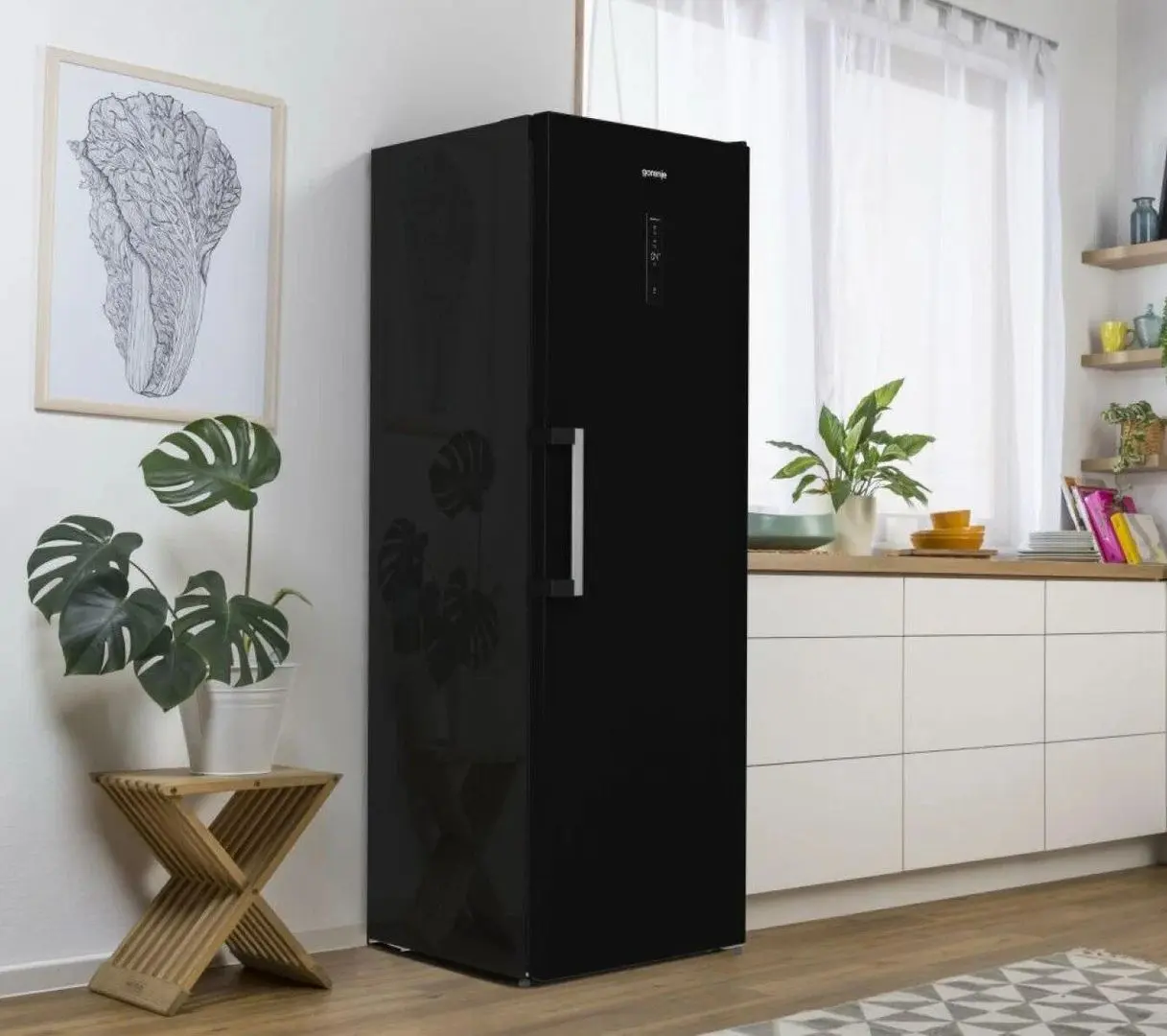 Холодильник Gorenje R619EABK6 (Black)