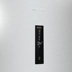Холодильник Gorenje R619EAXL6 (Inox) Thumb