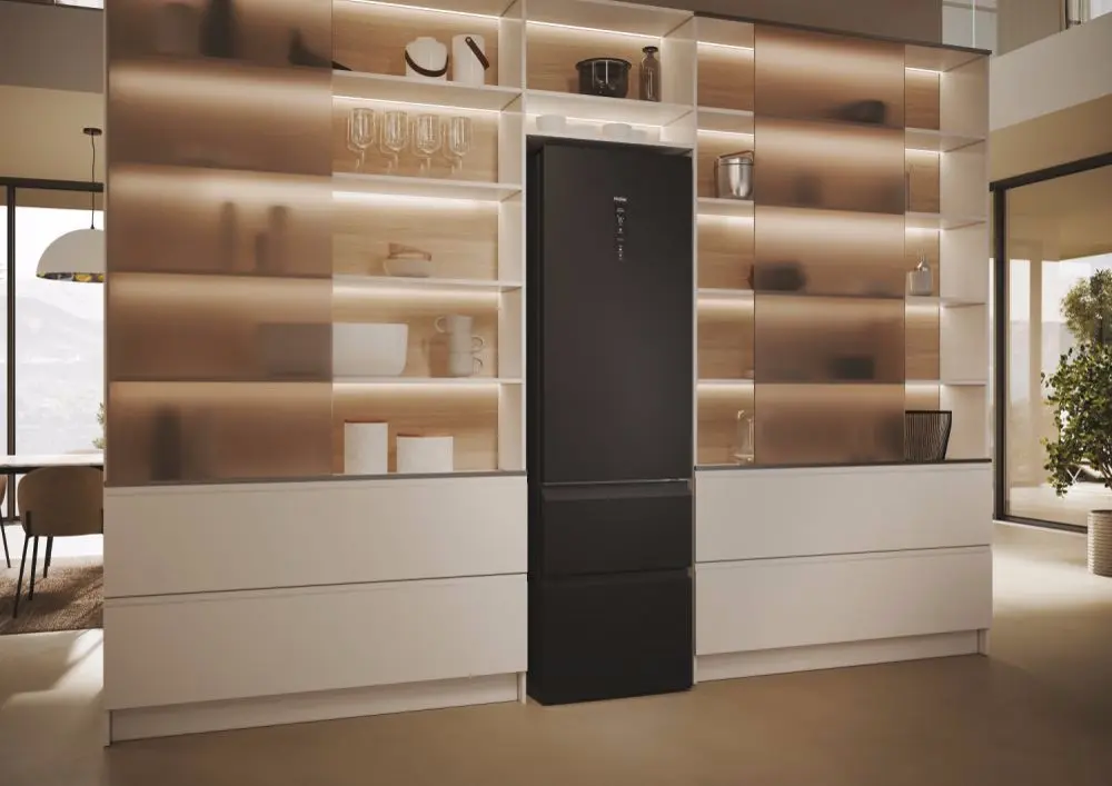 Холодильник Haier HTW5620DNPT (Black)