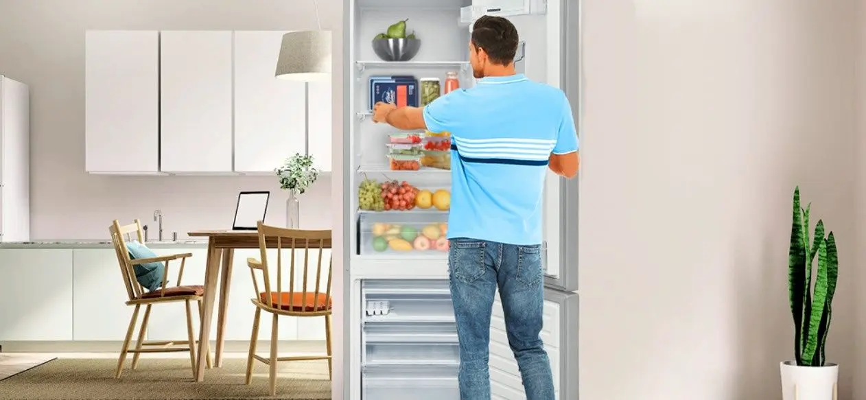 Frigider Heinner HC-V288SWDE++ (Silver)