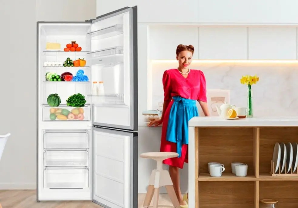 Frigider Heinner HCNF-HM291XWDE++ (Inox)