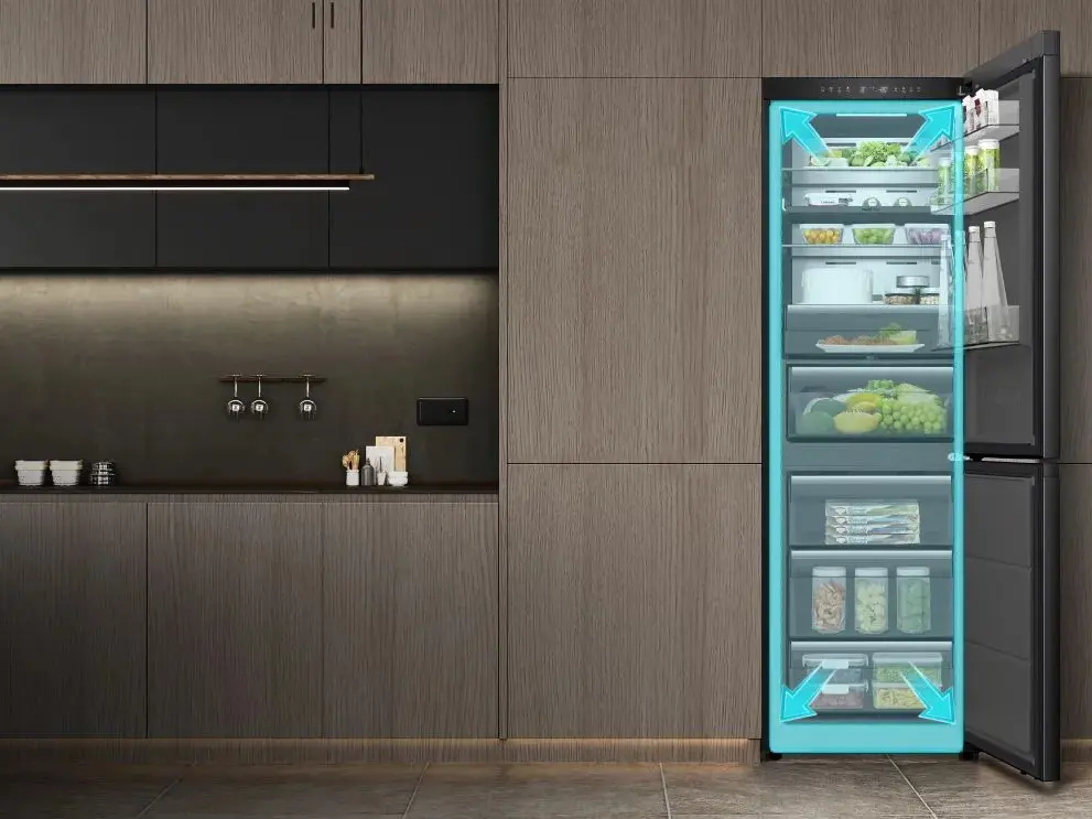 Frigider Hisense RB5K330GSFC (Black)