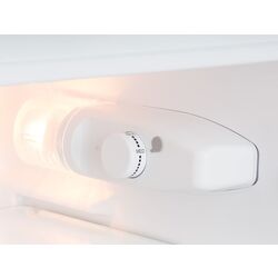 Frigider Klarstein Big Daddy Cool (Black) Thumb