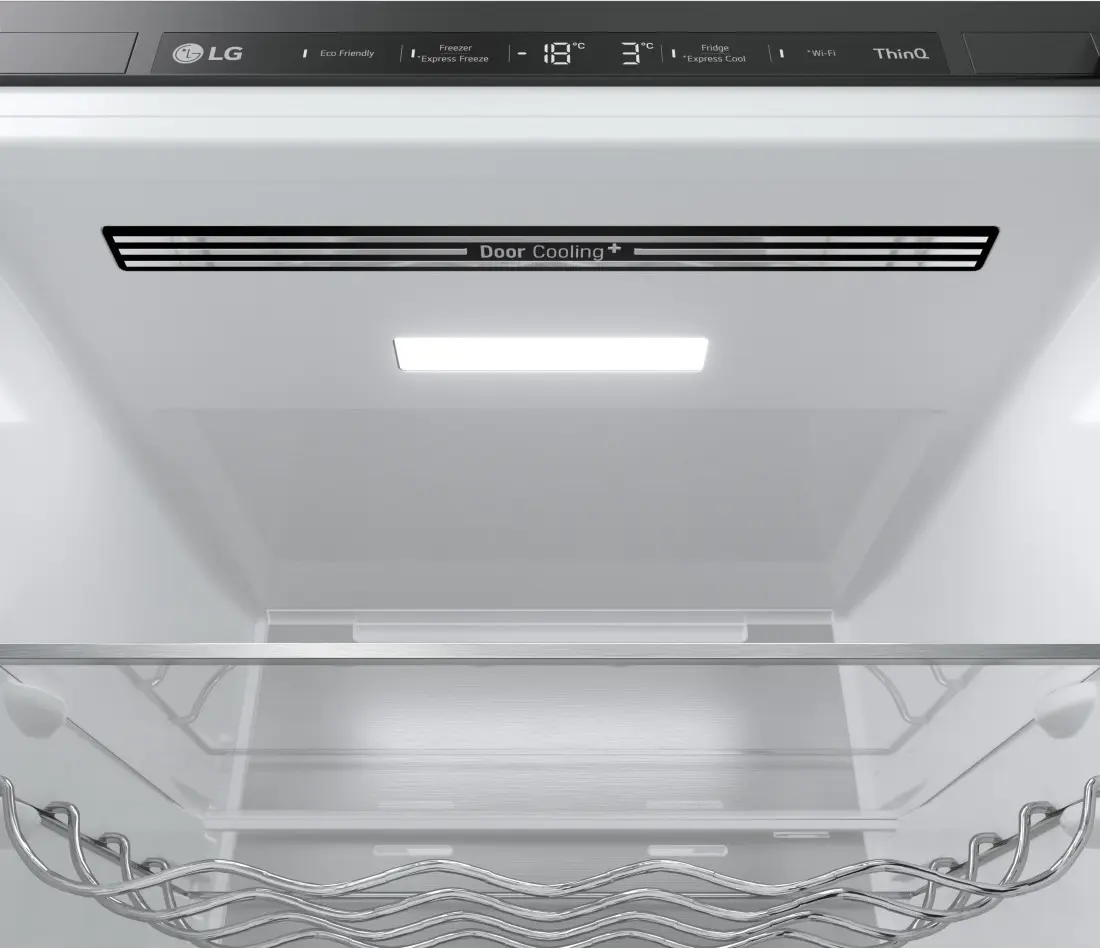 Холодильник LG GBB72TW9DQ (White/Black)