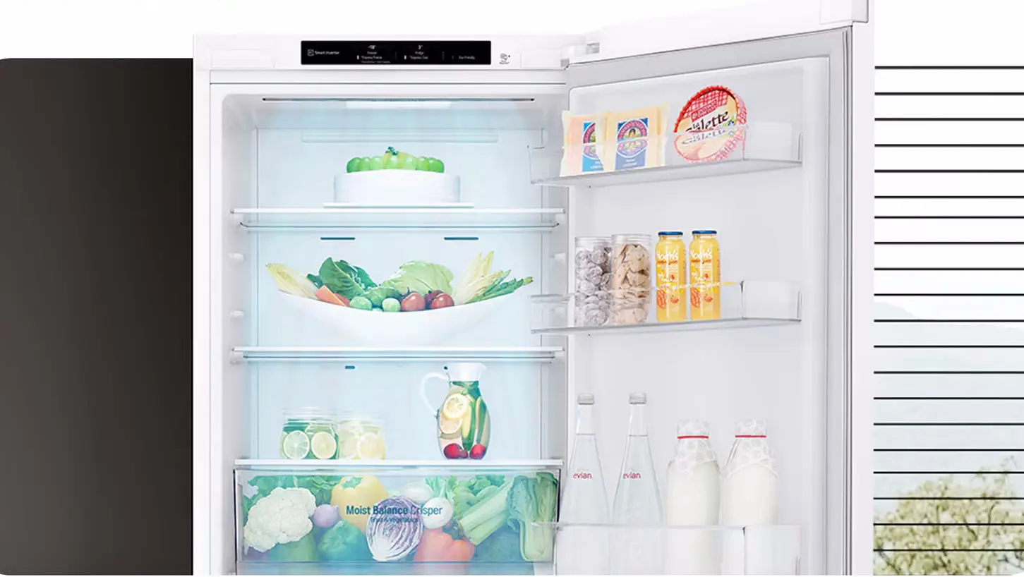 Холодильник LG GBV3100CSW (White)