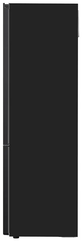 Холодильник LG GBV3100EEP (Black)