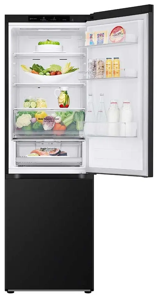 Холодильник LG GBV3100EEP (Black)