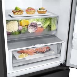 Холодильник LG GBV3200DEP (Black) Thumb