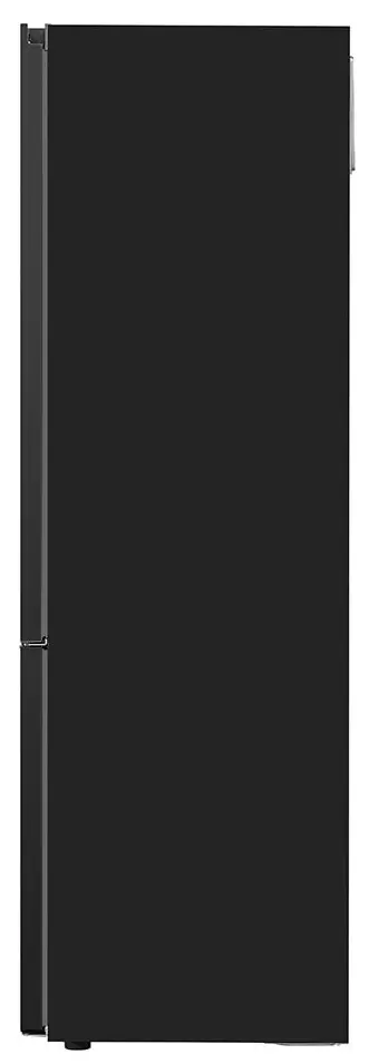 Холодильник LG GBV3200DEP (Black)