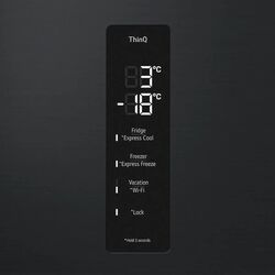 Холодильник LG GBV5150DEP (Black) Thumb