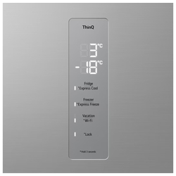 Холодильник LG GBV7270DPY (Inox) Thumb