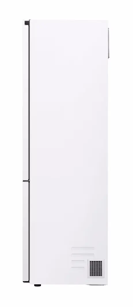 Холодильник LG GBV7280CSW (White)