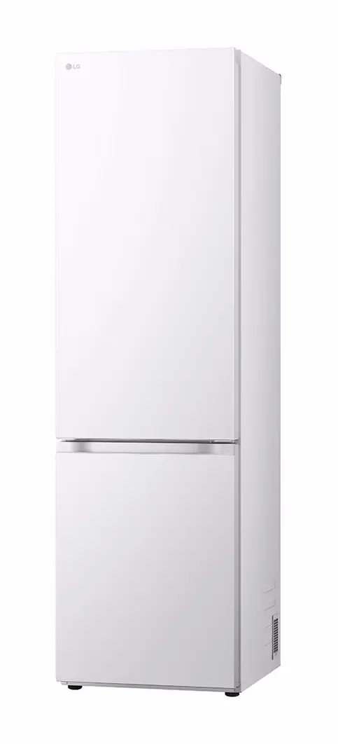 Холодильник LG GBV7280CSW (White)