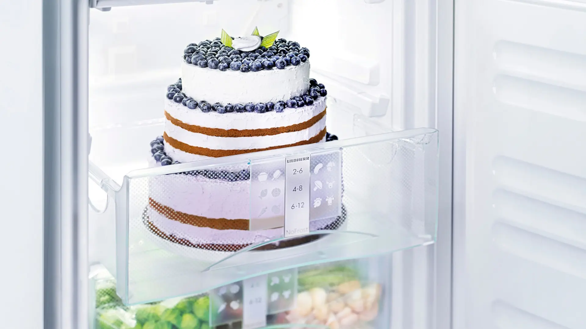 Frigider Liebherr CTPe231-26 (White)