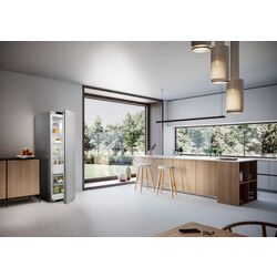 Frigider Liebherr Plus RDsfe 5220 (Silver) Thumb