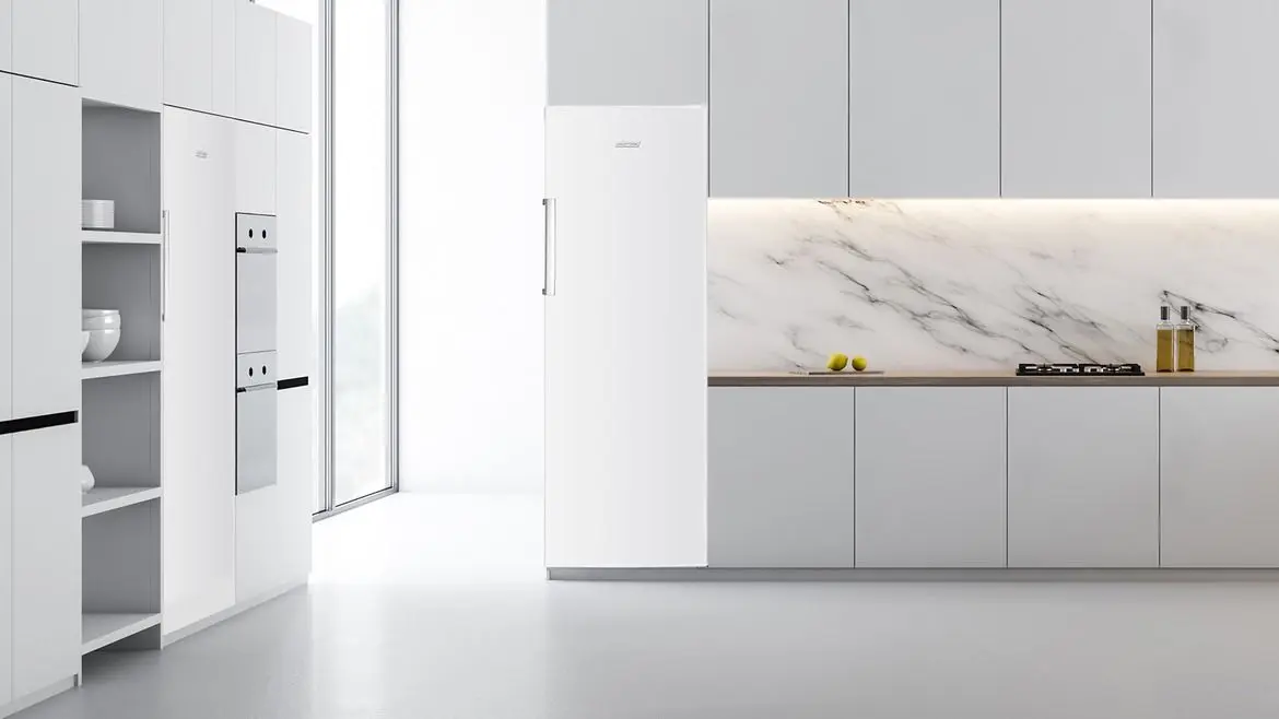 Frigider MPM MPM-335-CJ-30 (White) - 3