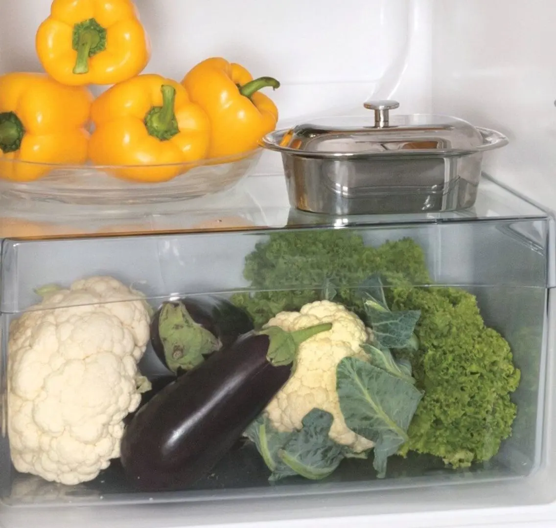 Frigider Snaige R13SM-PRDL0F (Turcoaz)