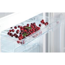 Холодильник Snaige RF53SM-S5JJ2F (Black) Thumb