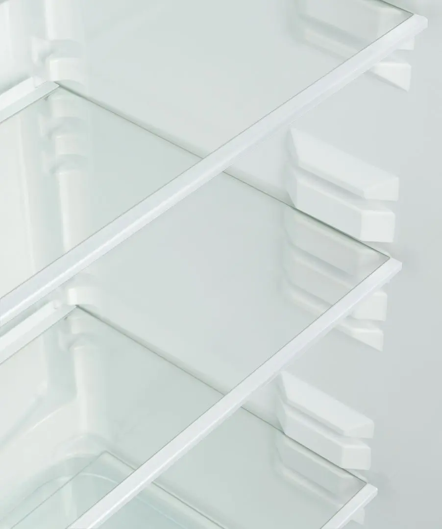 Frigider Snaige RF57SM-S5JJ2F (Black)