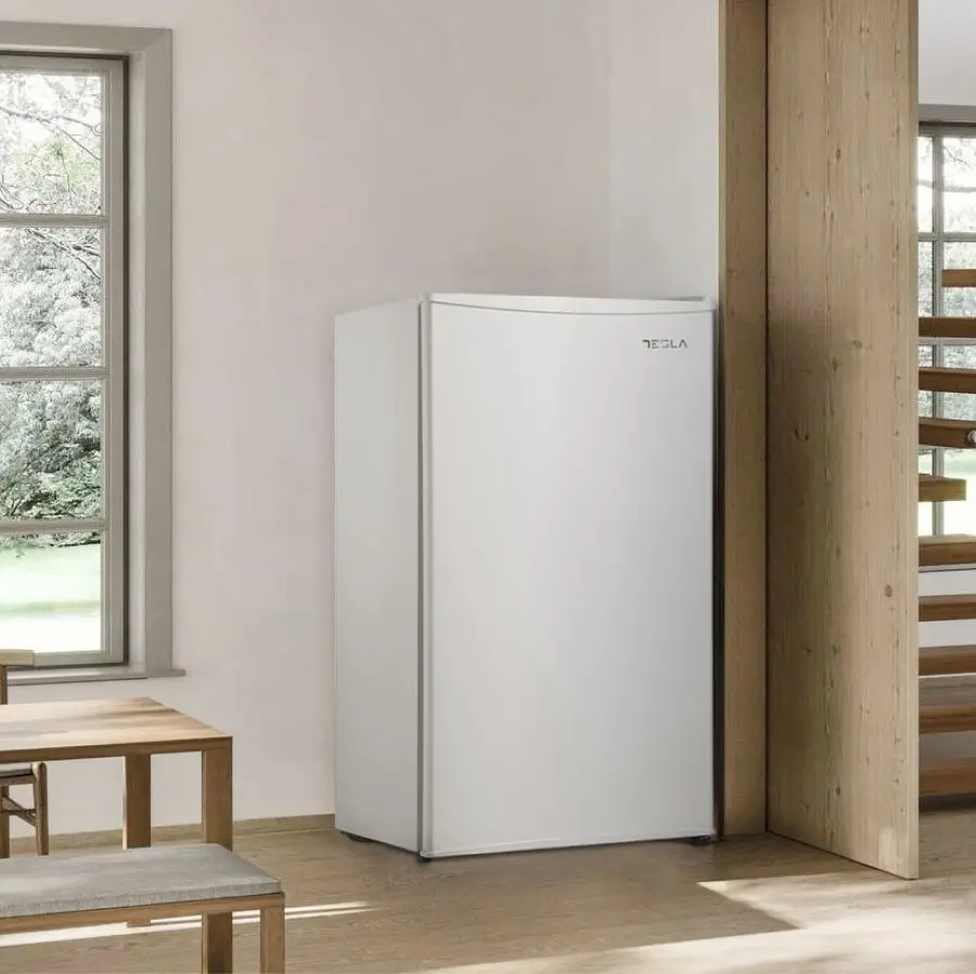 Frigider Tesla RS0903ME (White)
