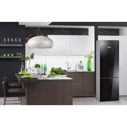 Холодильник Wolser WL-RD 185 BGL (Black) Thumb