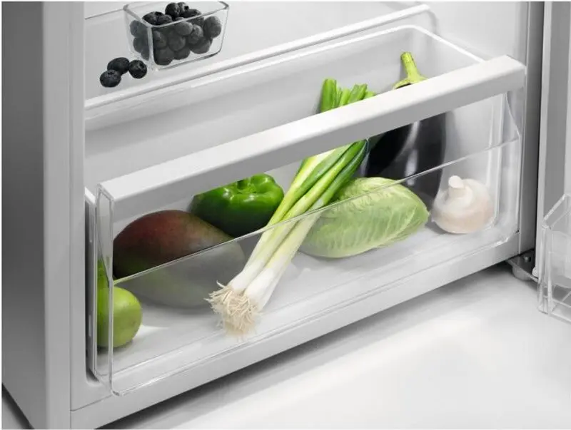 Холодильник Zanussi ZEAN11FW0 (White)