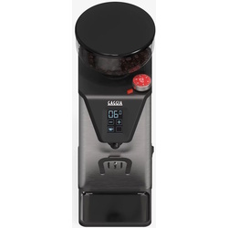 Кофемолка Gaggia EG4950/90 (Inox) Thumb