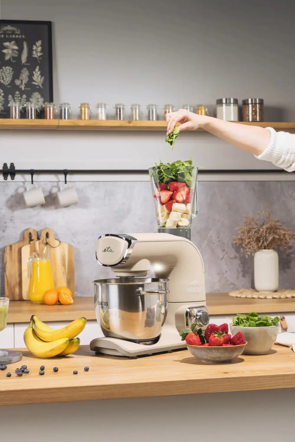 Robot de bucatarie ETA Gratus Evo Smart 1028 90025 (Beige)