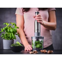 Блендер ETA Spesso II 3215 90000 (Grey) Thumb