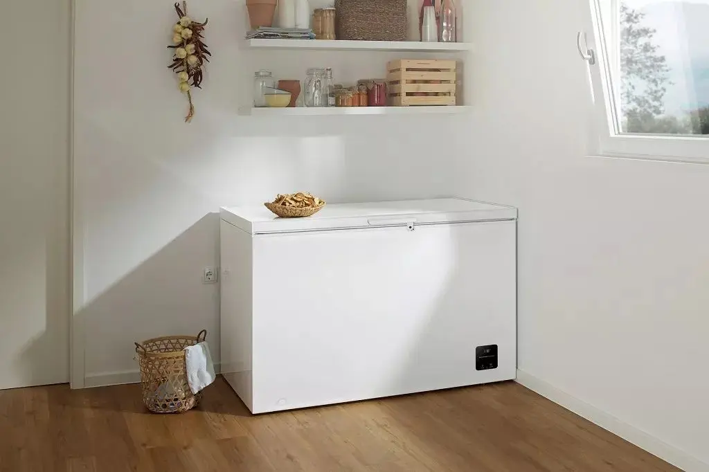 Морозильник-ларь Gorenje FH25EAW (White)