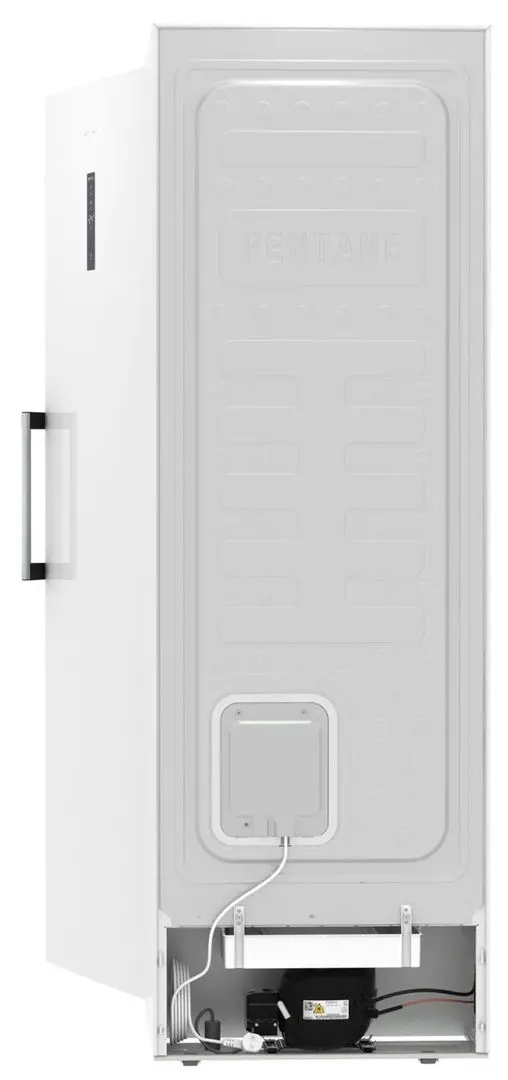 Congelator Gorenje FN619EAW6 (White)