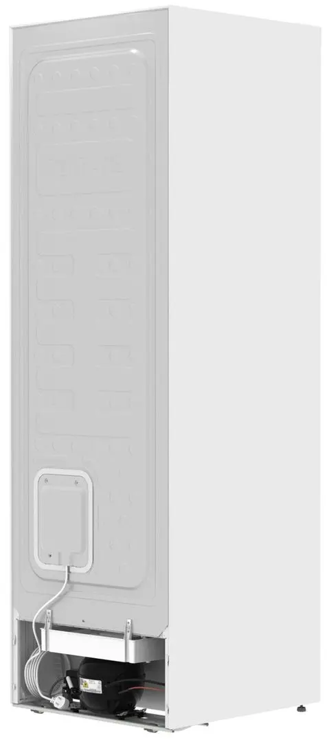 Congelator Gorenje FN619EAW6 (White)