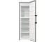 Congelator Gorenje FN619EAXL6 (Inox)