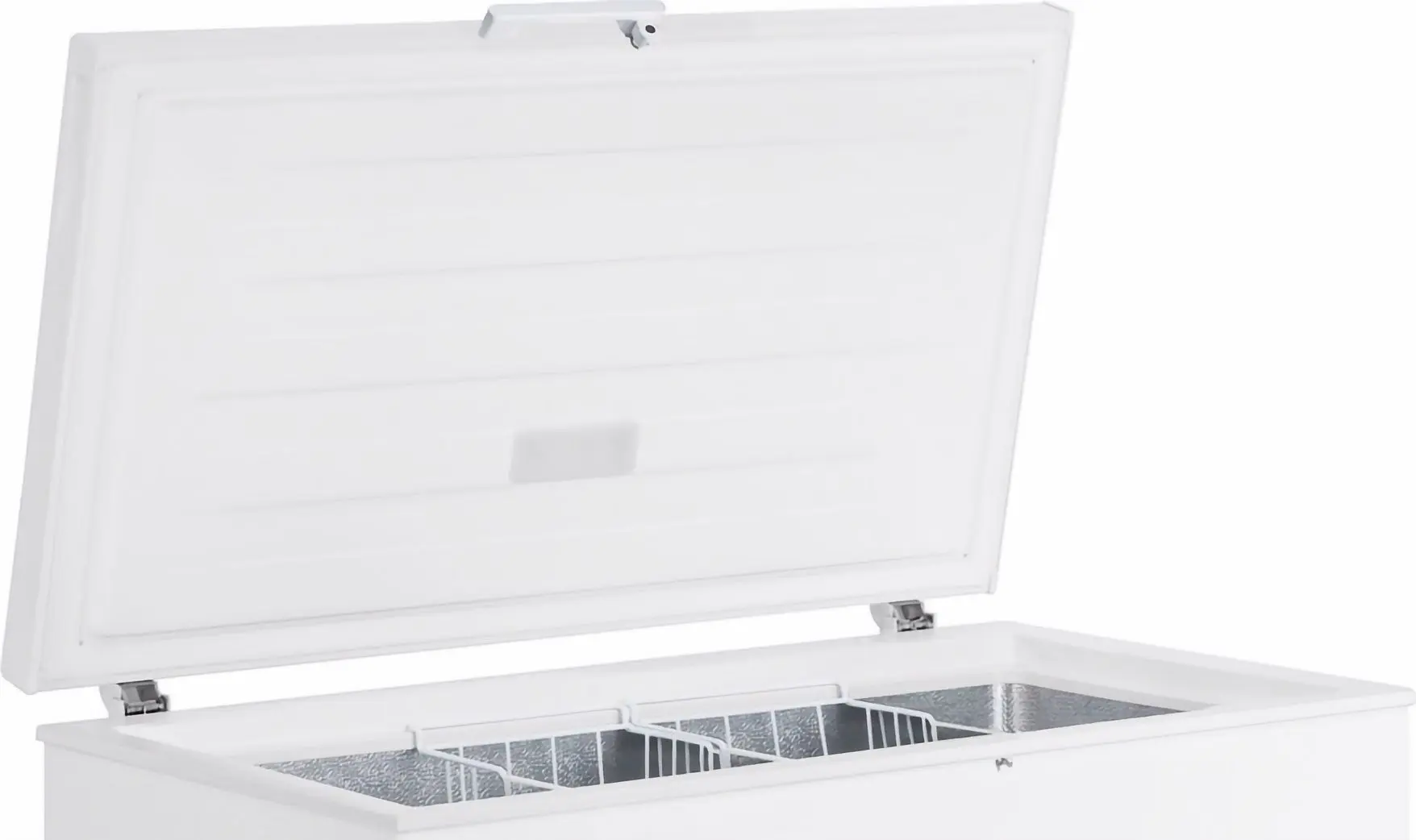 Lada frigorifica Gorenje FH19EAW (White)