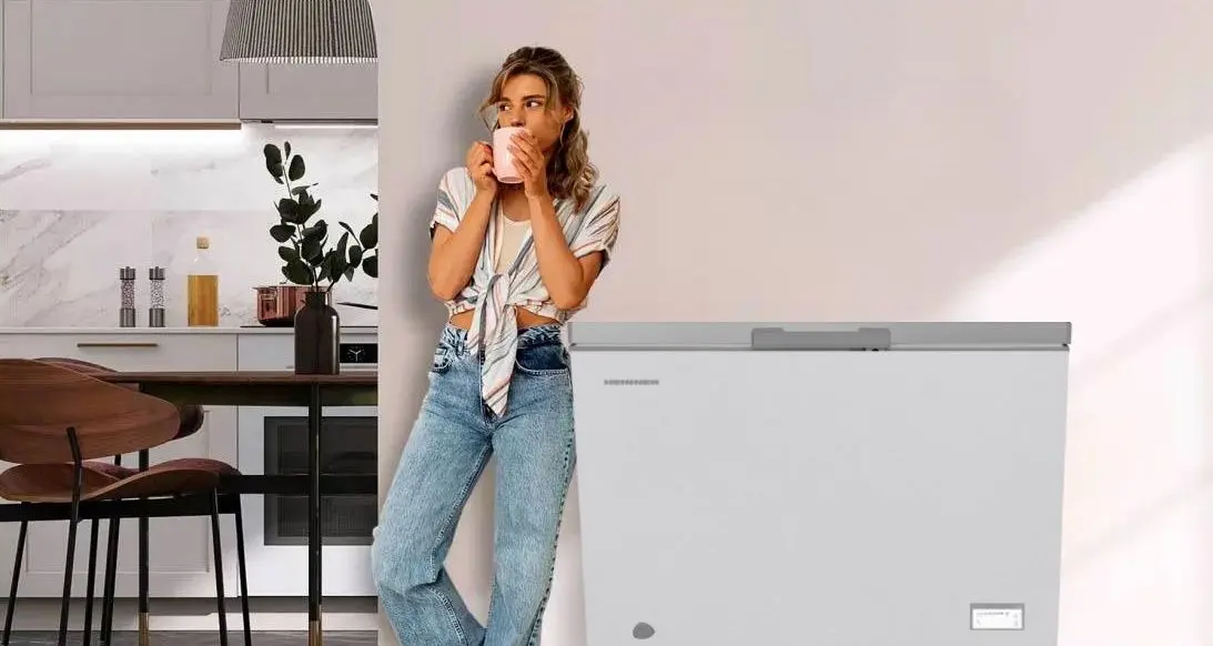 Морозильный ларь Heinner HCF-HM246CSE++ (Silver)