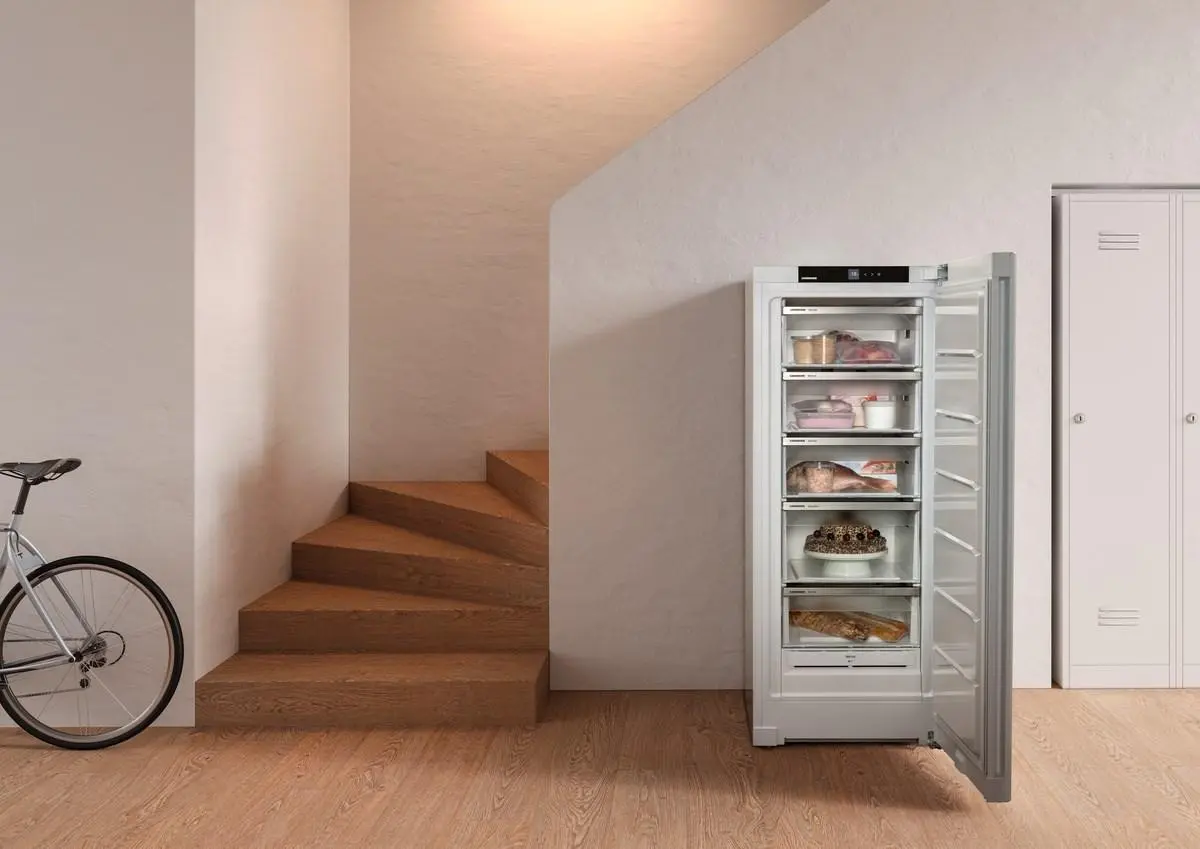 Морозильник Liebherr FNf 4605 (White)