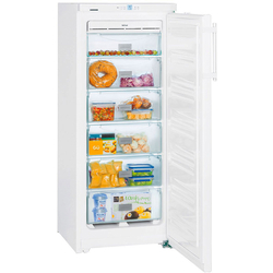 Морозильник Liebherr GNP 2313 (White) Thumb